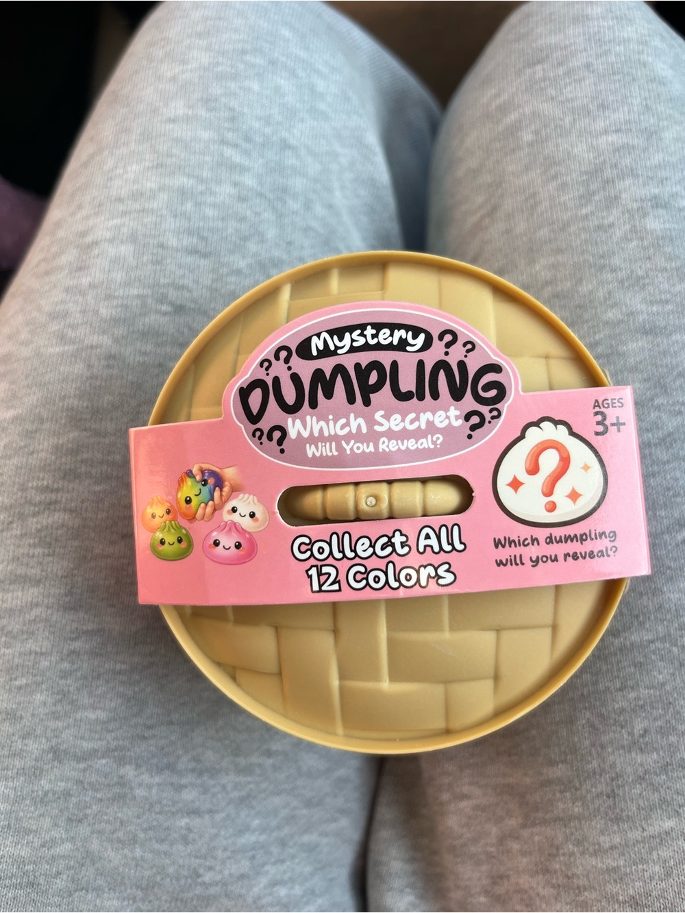 New in box TikTok viral mystery squishy dumpling